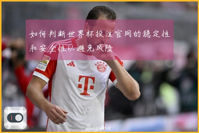 如何判断世界杯投注官网的稳定性和安全性以避免风险
