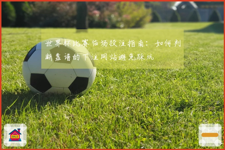世界杯比赛临场投注指南：如何判断靠谱的下注网站避免踩坑