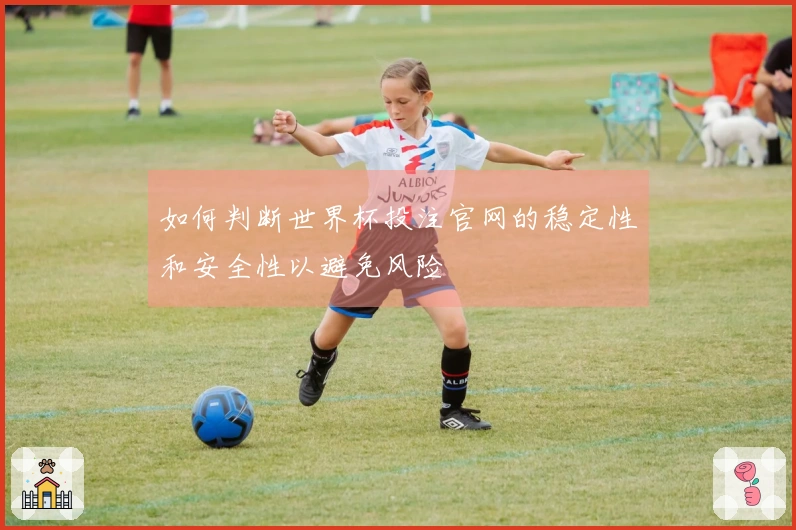 如何判断世界杯投注官网的稳定性和安全性以避免风险