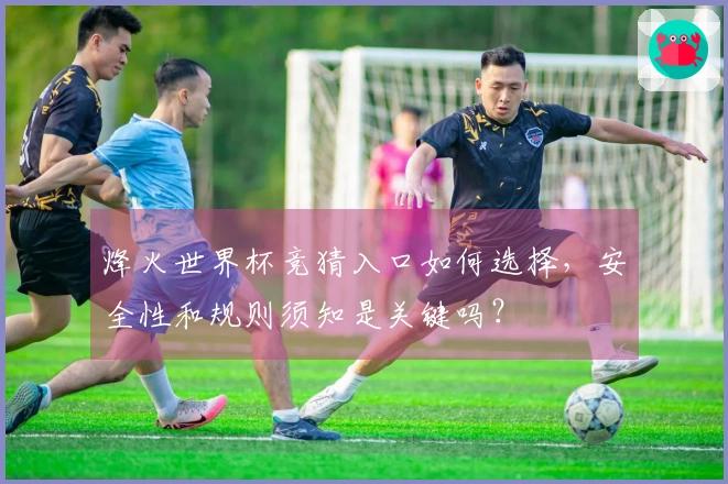 烽火世界杯竞猜入口如何选择，安全性和规则须知是关键吗？