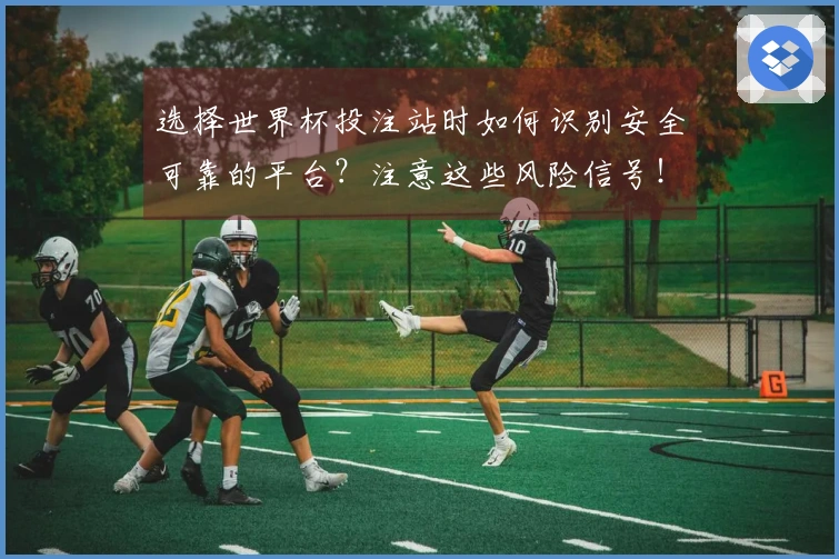 选择世界杯投注站时如何识别安全可靠的平台？注意这些风险信号！