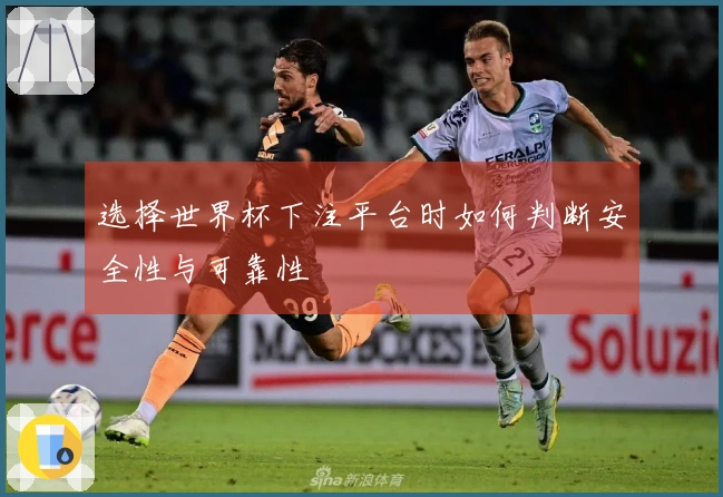 选择世界杯下注平台时如何判断安全性与可靠性