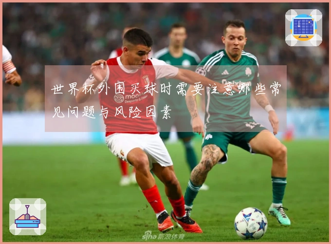 世界杯外围买球时需要注意哪些常见问题与风险因素