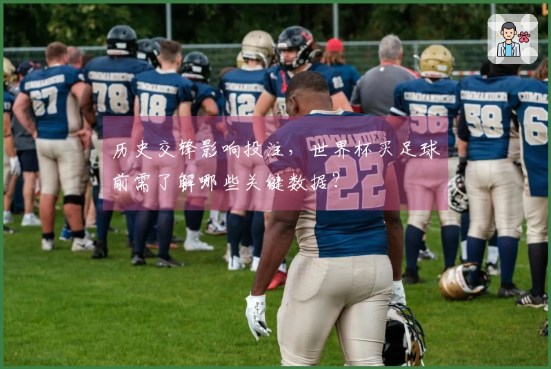 历史交锋影响投注,世界杯买足球前需了解哪些关键数据?