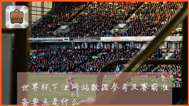世界杯下注网站数据参考及赛前准备要点是什么