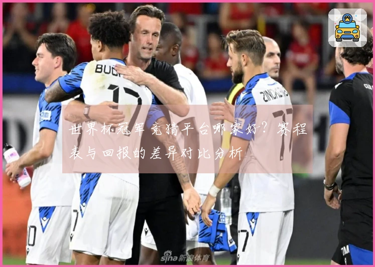 世界杯冠军竞猜平台哪家好？赛程表与回报的差异对比分析