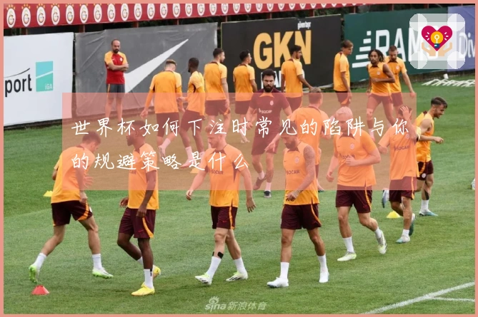 世界杯如何下注时常见的陷阱与你的规避策略是什么