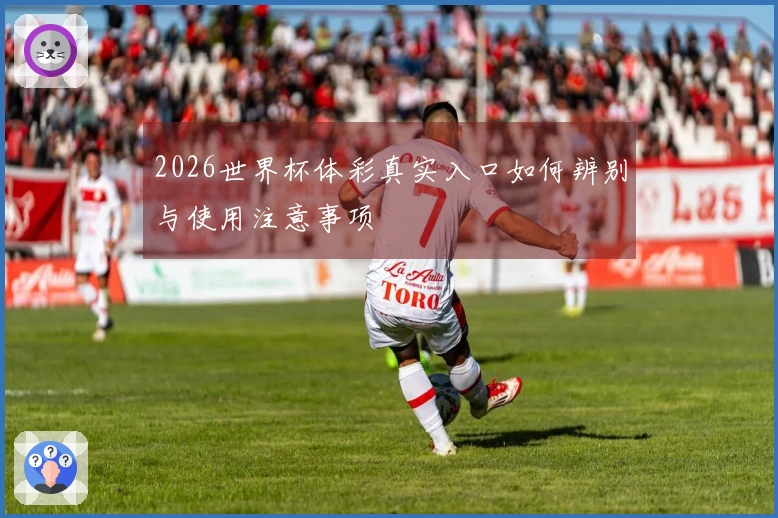 2026世界杯体彩真实入口如何辨别与使用注意事项