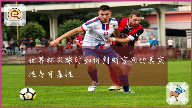 世界杯买球时如何判断官网的真实性与可靠性