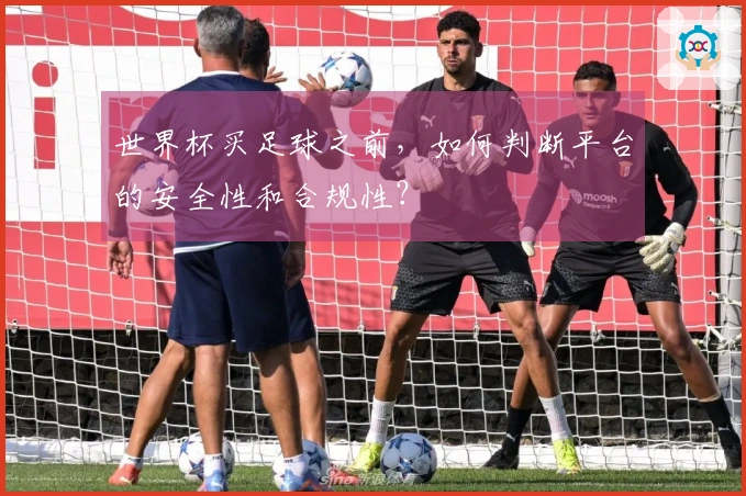 世界杯买足球之前，如何判断平台的安全性和合规性？