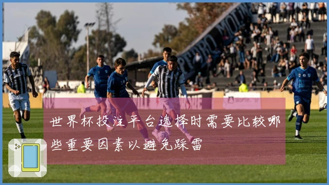 世界杯投注平台选择时需要比较哪些重要因素以避免踩雷