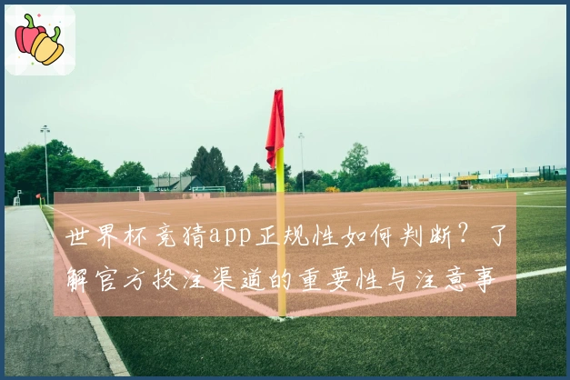 世界杯竞猜app正规性如何判断？了解官方投注渠道的重要性与注意事项