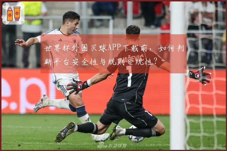 世界杯外围买球APP下载前，如何判断平台安全性与规则合规性？