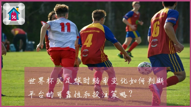 世界杯买足球时赔率变化如何判断平台的可靠性和投注策略？