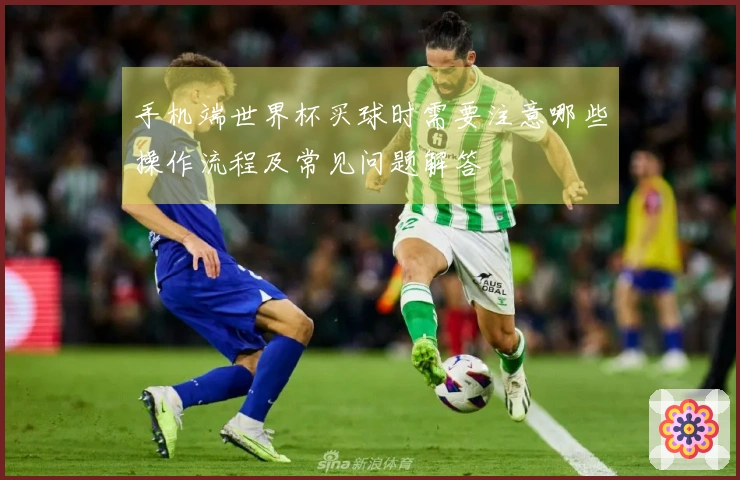 手机端世界杯买球时需要注意哪些操作流程及常见问题解答