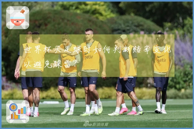 世界杯买足球时如何判断赔率变化以避免踩雷？