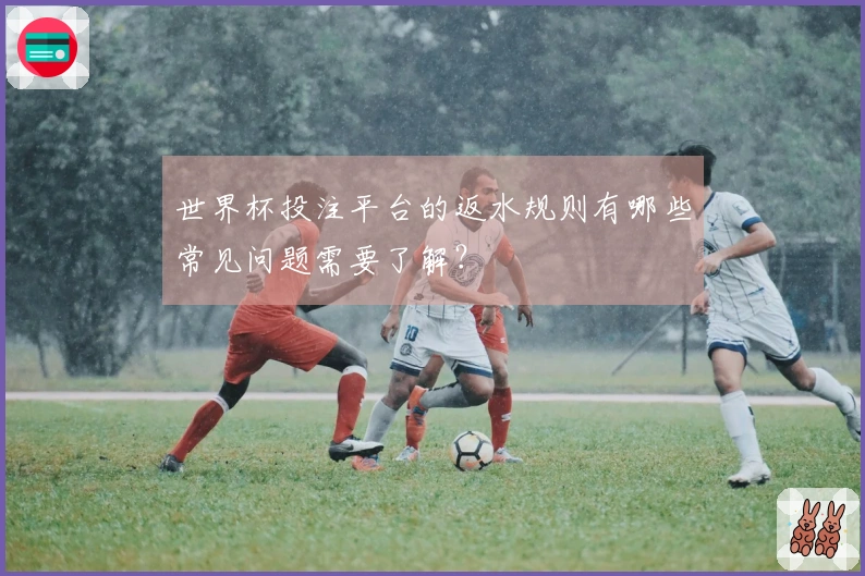 世界杯投注平台的返水规则有哪些常见问题需要了解？