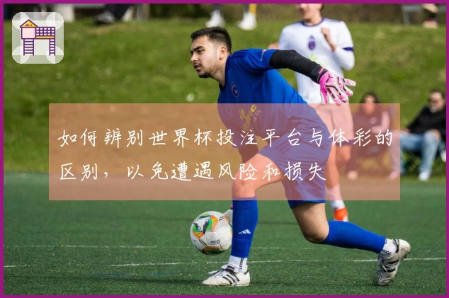 如何辨别世界杯投注平台与体彩的区别，以免遭遇风险和损失