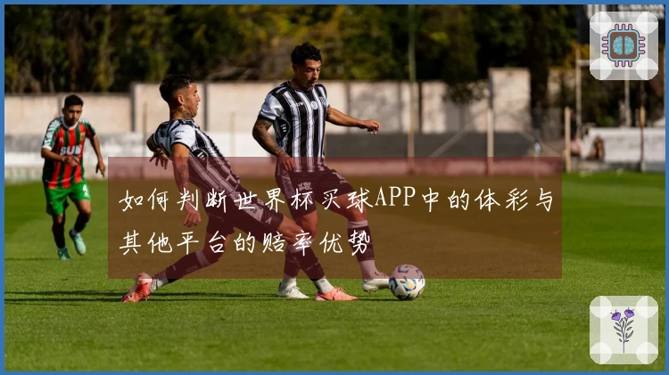 如何判断世界杯买球APP中的体彩与其他平台的赔率优势