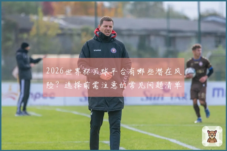 2026世界杯买球平台有哪些潜在风险？选择前需注意的常见问题清单