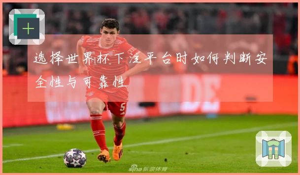 选择世界杯下注平台时如何判断安全性与可靠性