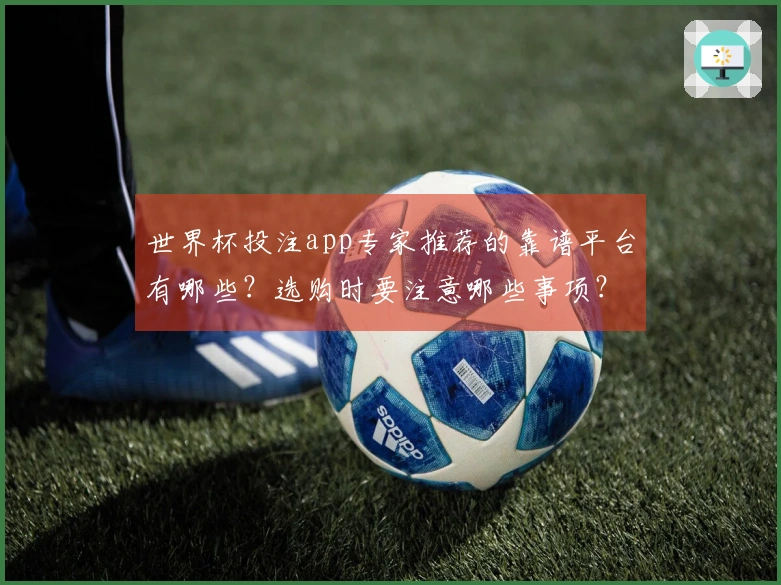世界杯投注app专家推荐的靠谱平台有哪些？选购时要注意哪些事项？
