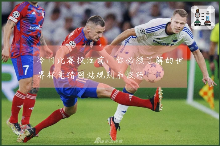 冷门比赛投注前，你必须了解的世界杯竞猜网站规则和技巧