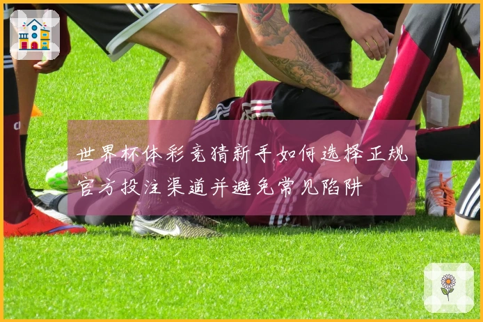 世界杯体彩竞猜新手如何选择正规官方投注渠道并避免常见陷阱