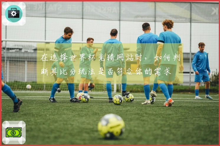 在选择世界杯竞猜网站时，如何判断其比分玩法是否符合你的需求