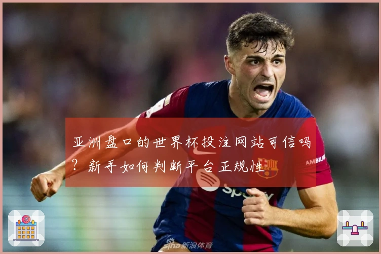 亚洲盘口的世界杯投注网站可信吗？新手如何判断平台正规性