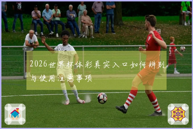 2026世界杯体彩真实入口如何辨别与使用注意事项