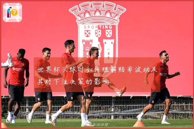世界杯买球时如何理解赔率波动及其对下注决策的影响