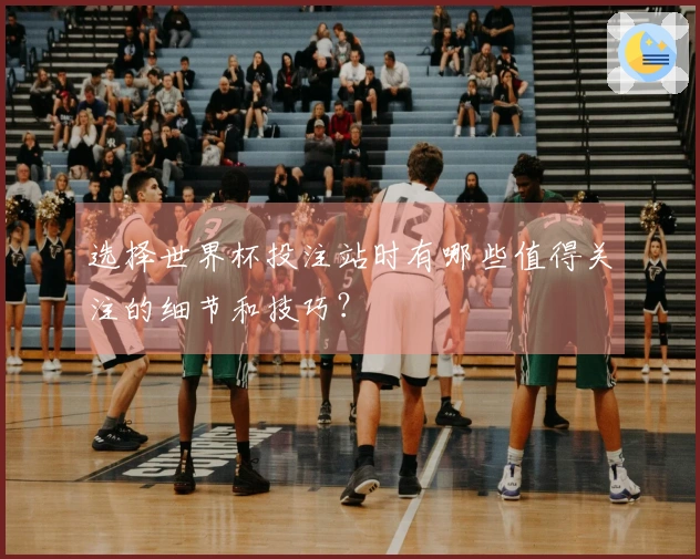 选择世界杯投注站时有哪些值得关注的细节和技巧？