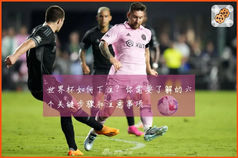 世界杯如何下注？你需要了解的六个关键步骤和注意事项