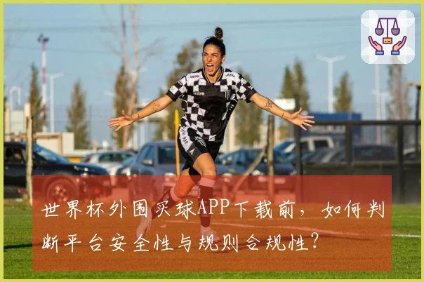 世界杯外围买球APP下载前，如何判断平台安全性与规则合规性？