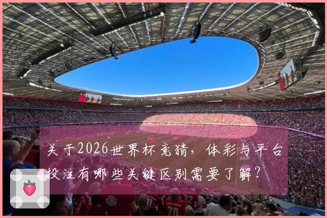 关于2026世界杯竞猜，体彩与平台投注有哪些关键区别需要了解？