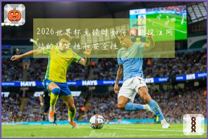 2026世界杯竞猜时如何判断投注网站的稳定性和安全性