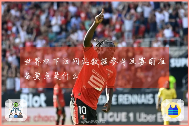 世界杯下注网站数据参考及赛前准备要点是什么