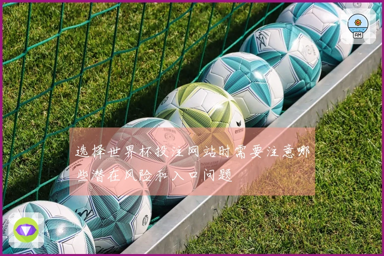 选择世界杯投注网站时需要注意哪些潜在风险和入口问题