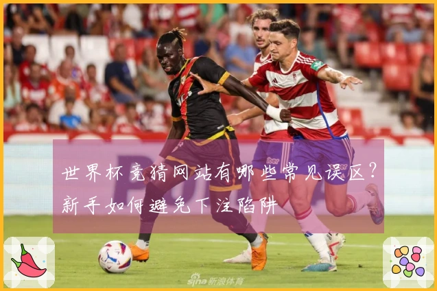世界杯竞猜网站有哪些常见误区？新手如何避免下注陷阱