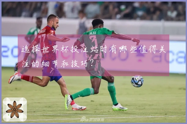 选择世界杯投注站时有哪些值得关注的细节和技巧?