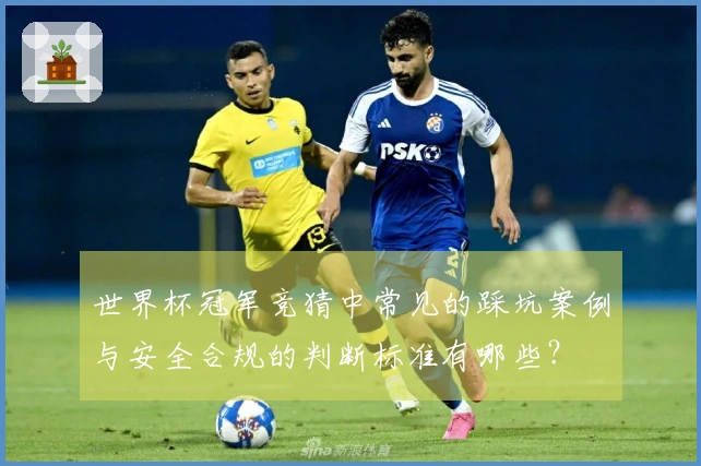 世界杯冠军竞猜中常见的踩坑案例与安全合规的判断标准有哪些？