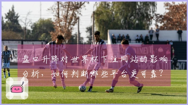 盘口升降对世界杯下注网站的影响分析，如何判断哪些平台更可靠？