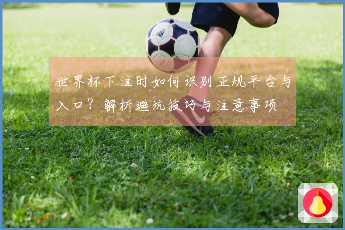 世界杯下注时如何识别正规平台与入口？解析避坑技巧与注意事项